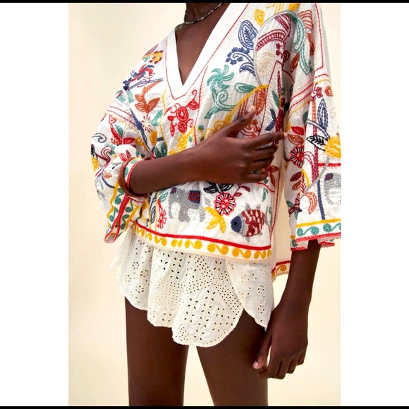 NWT ZARA EMBROIDERED V-NECK TOP - Picture 2 of 6